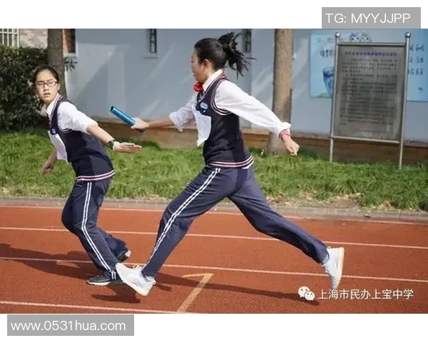 上海排球队的拼搏历程与荣耀时刻全景回顾