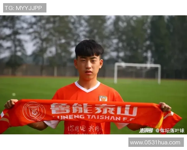 南京羽毛球队以61分稳居挑战赛积分榜首位展现强劲实力